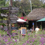 Hummingbird House Cafe