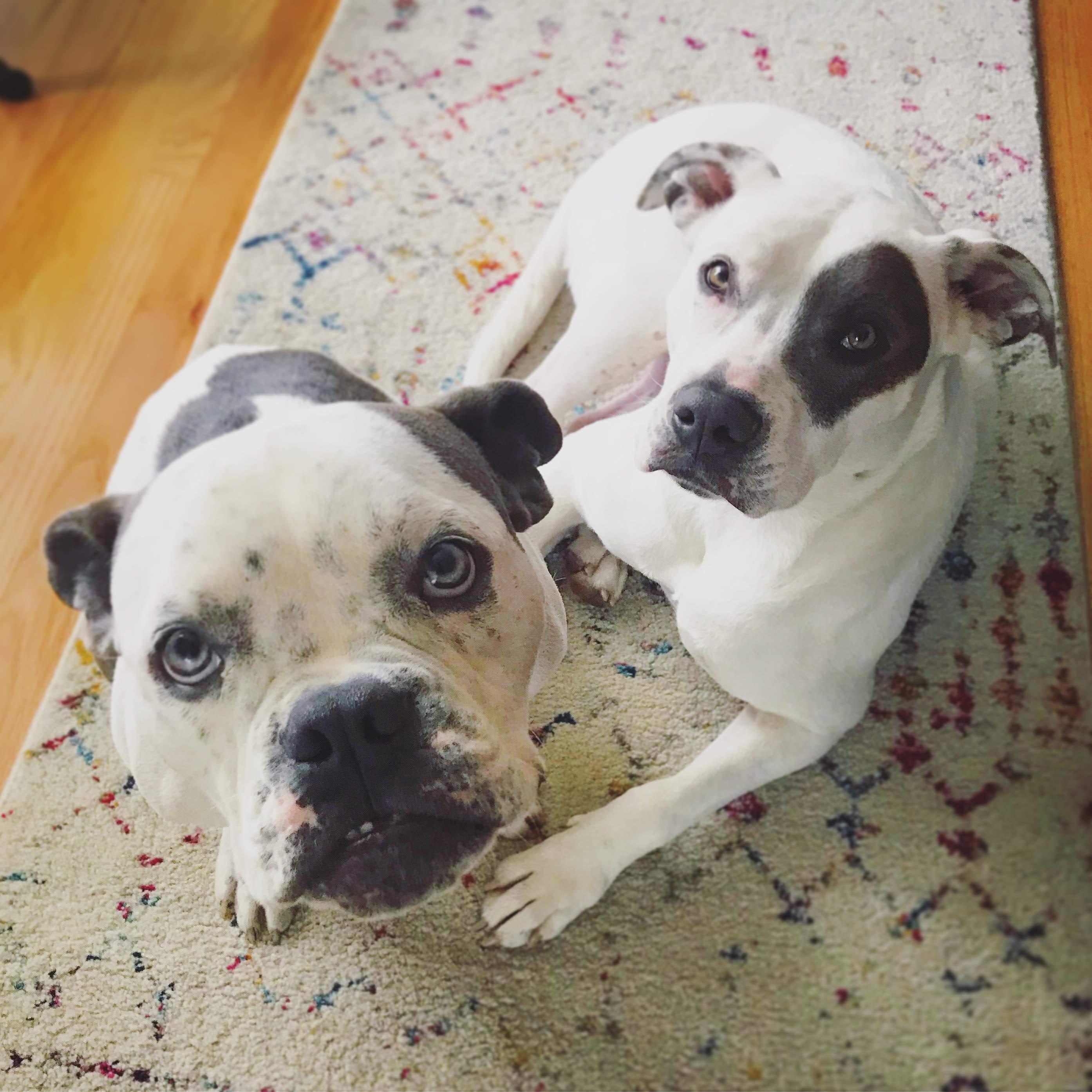 We're obsessed with these two. May 2020