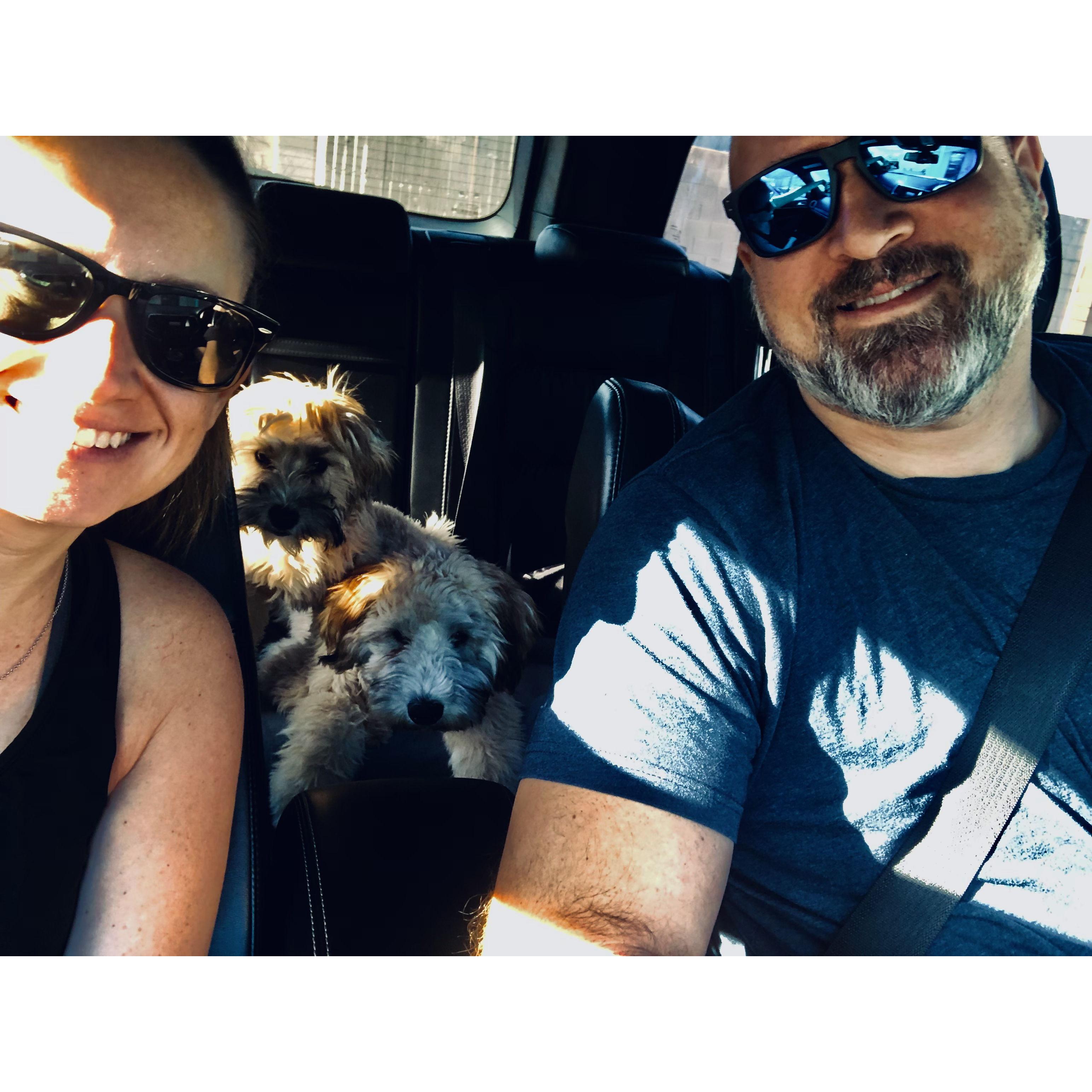 Taking our puppies to get snipped.