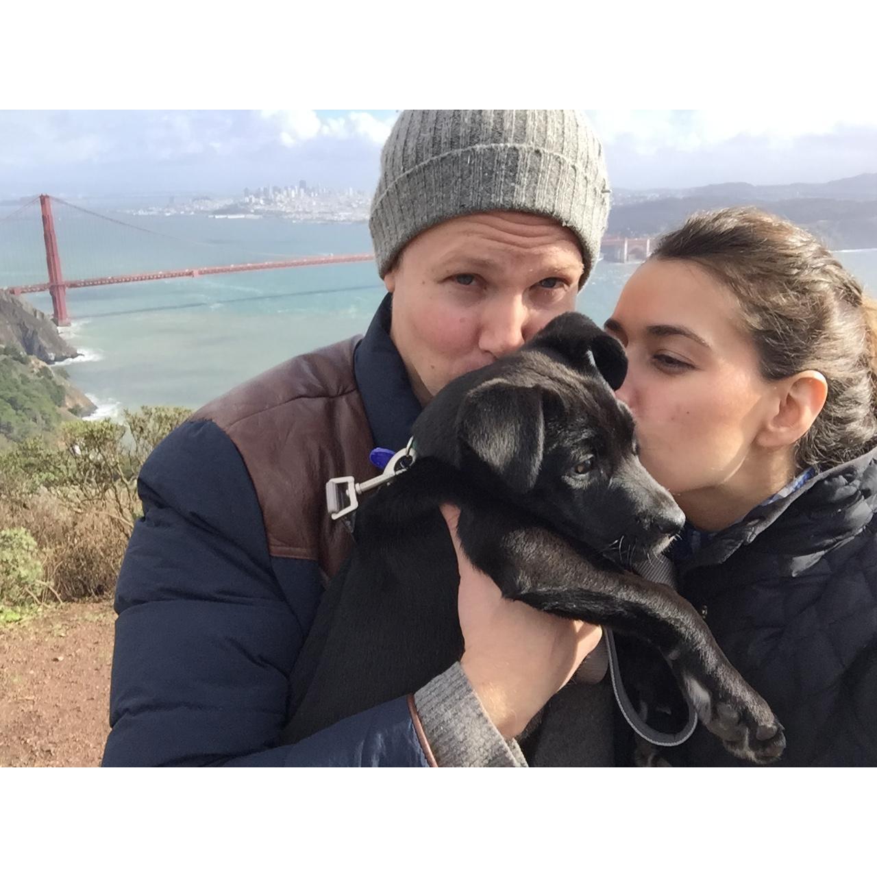 Our dog, Willow, was a gift from Rob to Lauren on New Year's in 2016. We adore her to pieces!