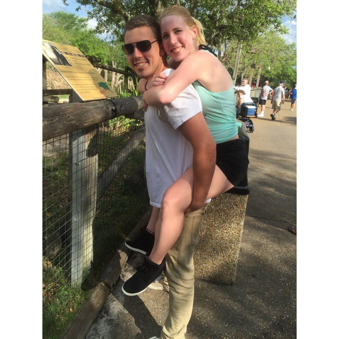 2015 - Busch Gardens