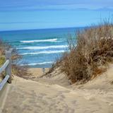 Go to the beach!
