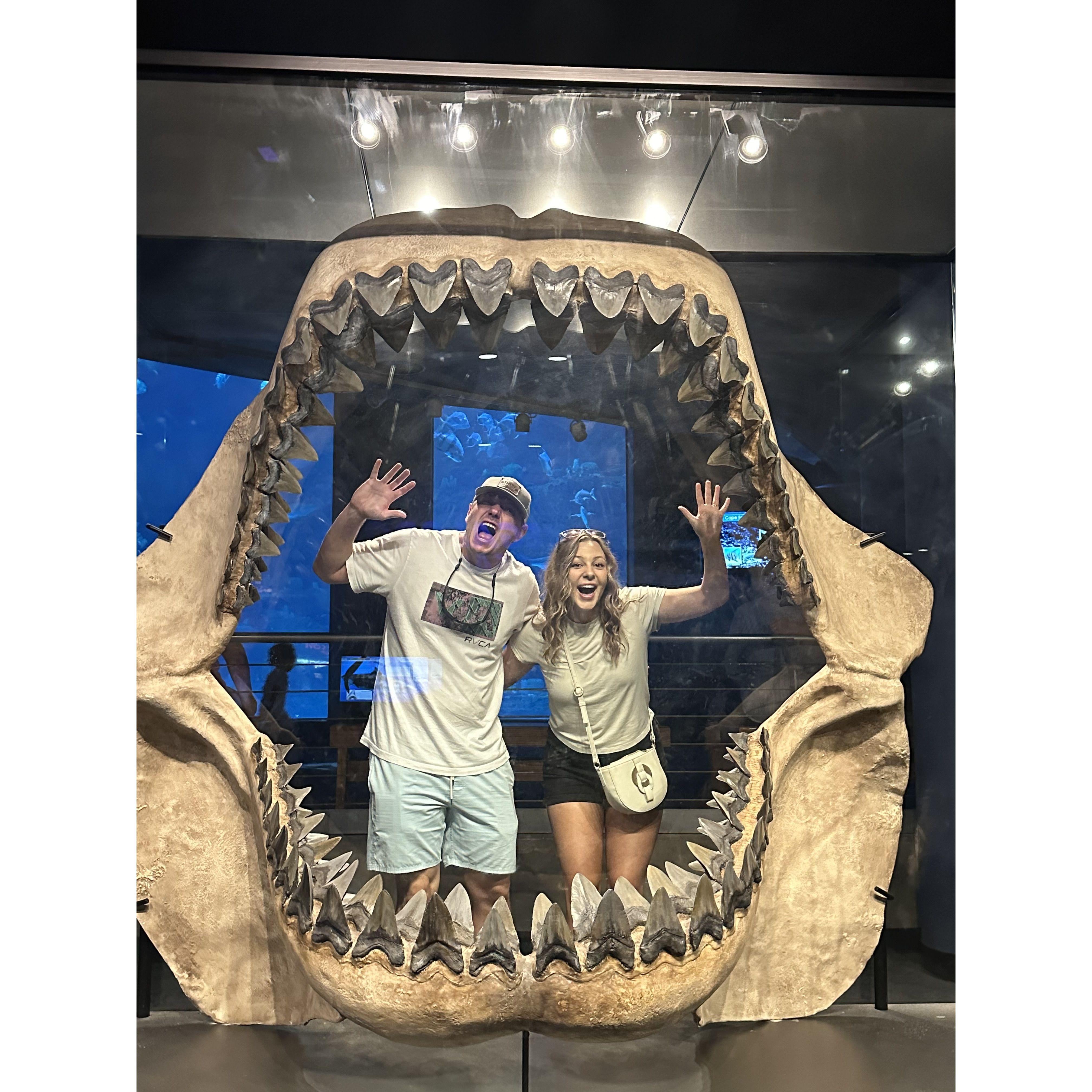 Aquarium with the bride’s niece & sister