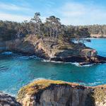 Point Lobos State Natural Reserve