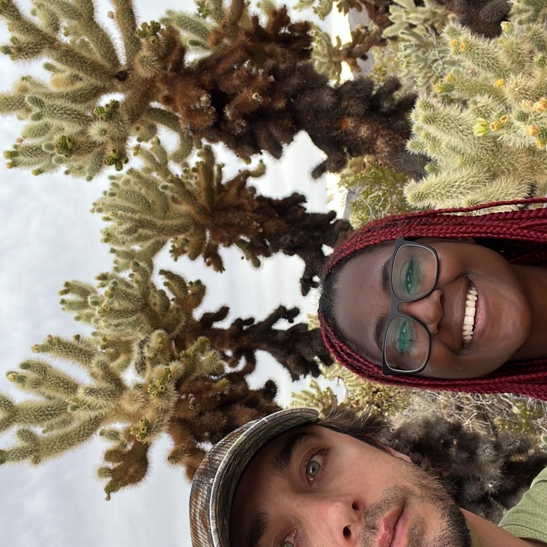 Joshua Tree, CA