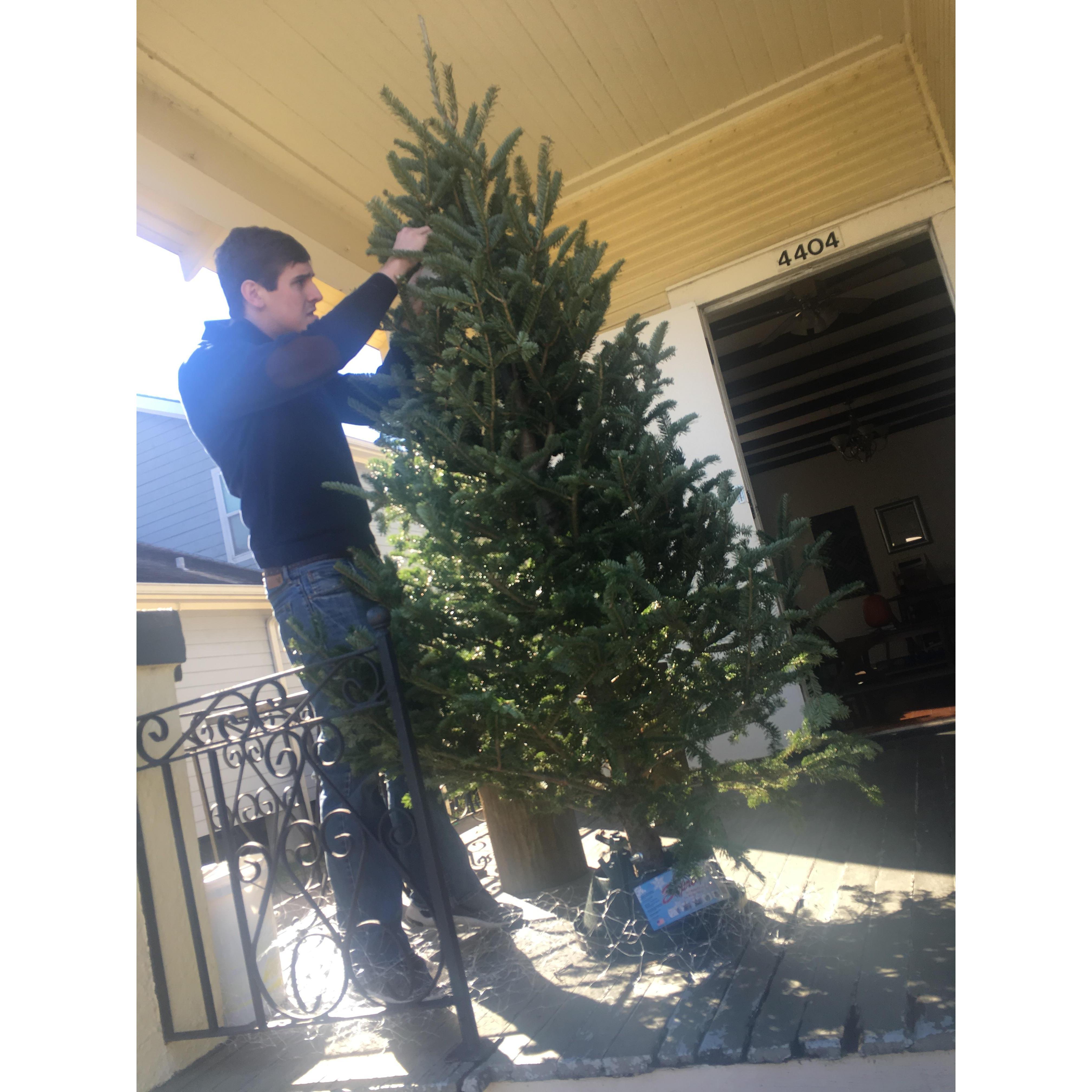Alexis and Josh buy their first Christmas Tree from Urban Roots, where Josh was previously employed, and assembled it at 4404 Walmsley