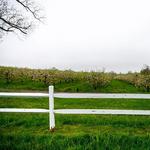 Pennings Farm Cidery