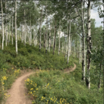 Hiking