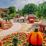 The Dallas Arboretum and Botanical Garden