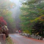 Carriage Roads