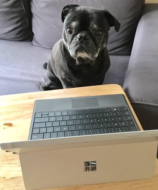 This is Zeus making this website.