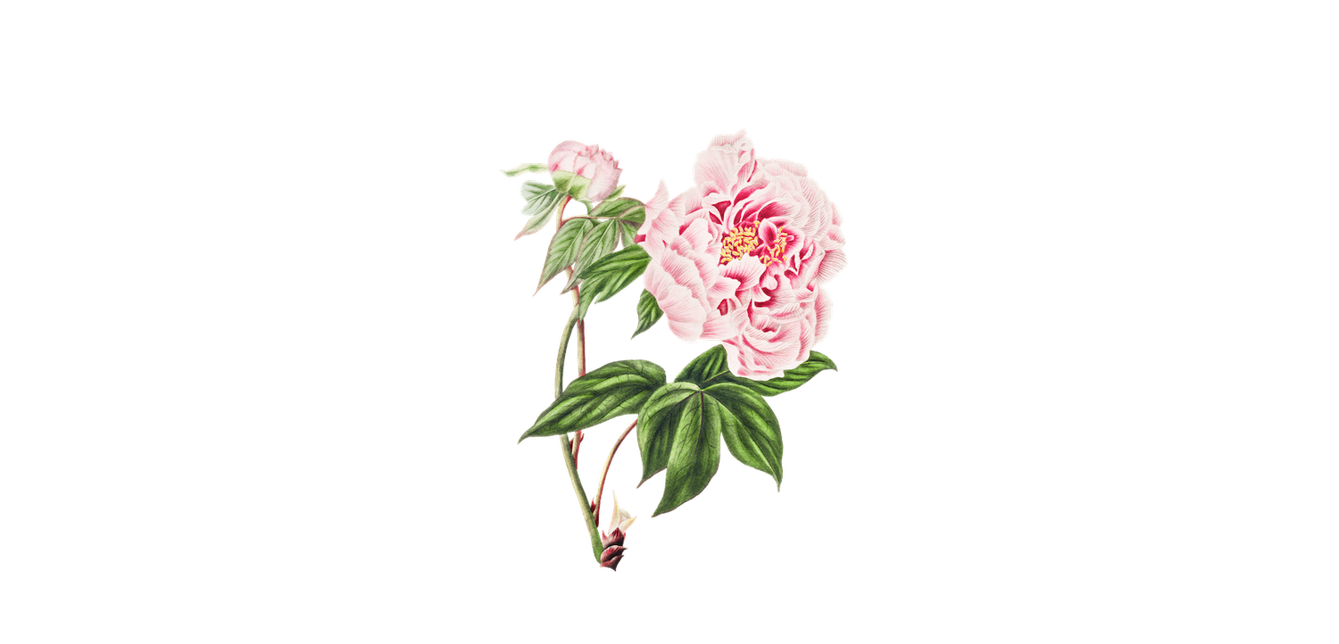 The Wedding Website of Jacqueline Mclane and Helen Freund