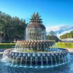 Pineapple Fountain