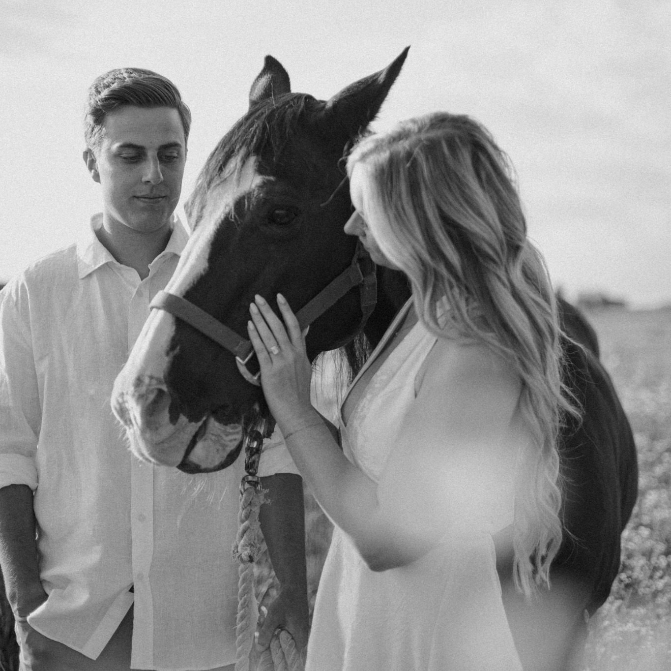 Chief the Horse
