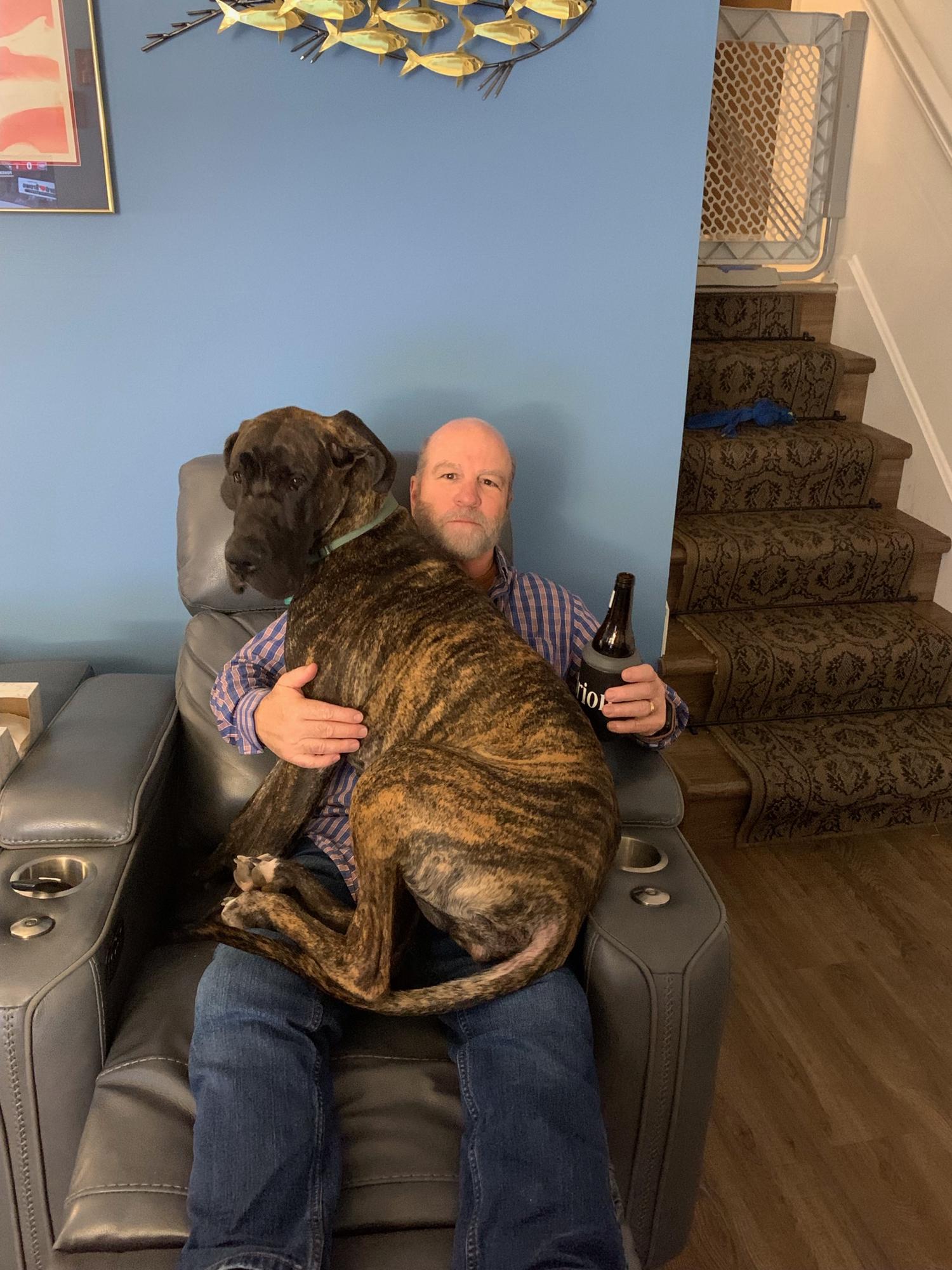 She thinks she's a lap dog!