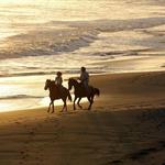 Amelia Island Horseback Riding