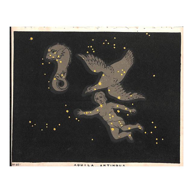 Astronomy, Constellation Aquila Antinous, Antique Print 1845, Matted
