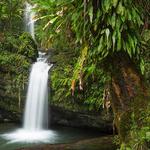 El Yunque Rainforest