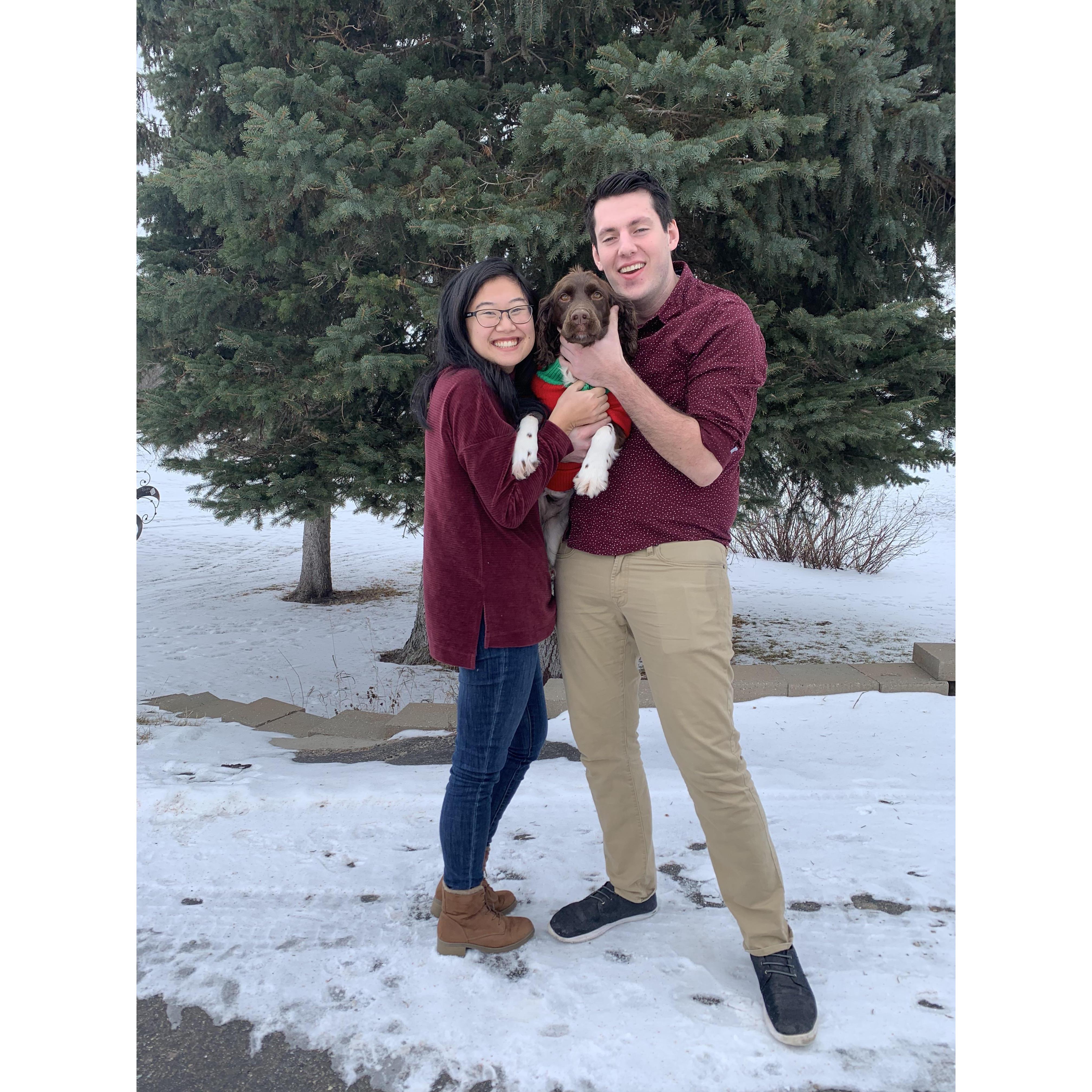 Christmas 2019 at the Farm