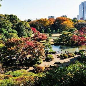Japanese Gardens Admissions