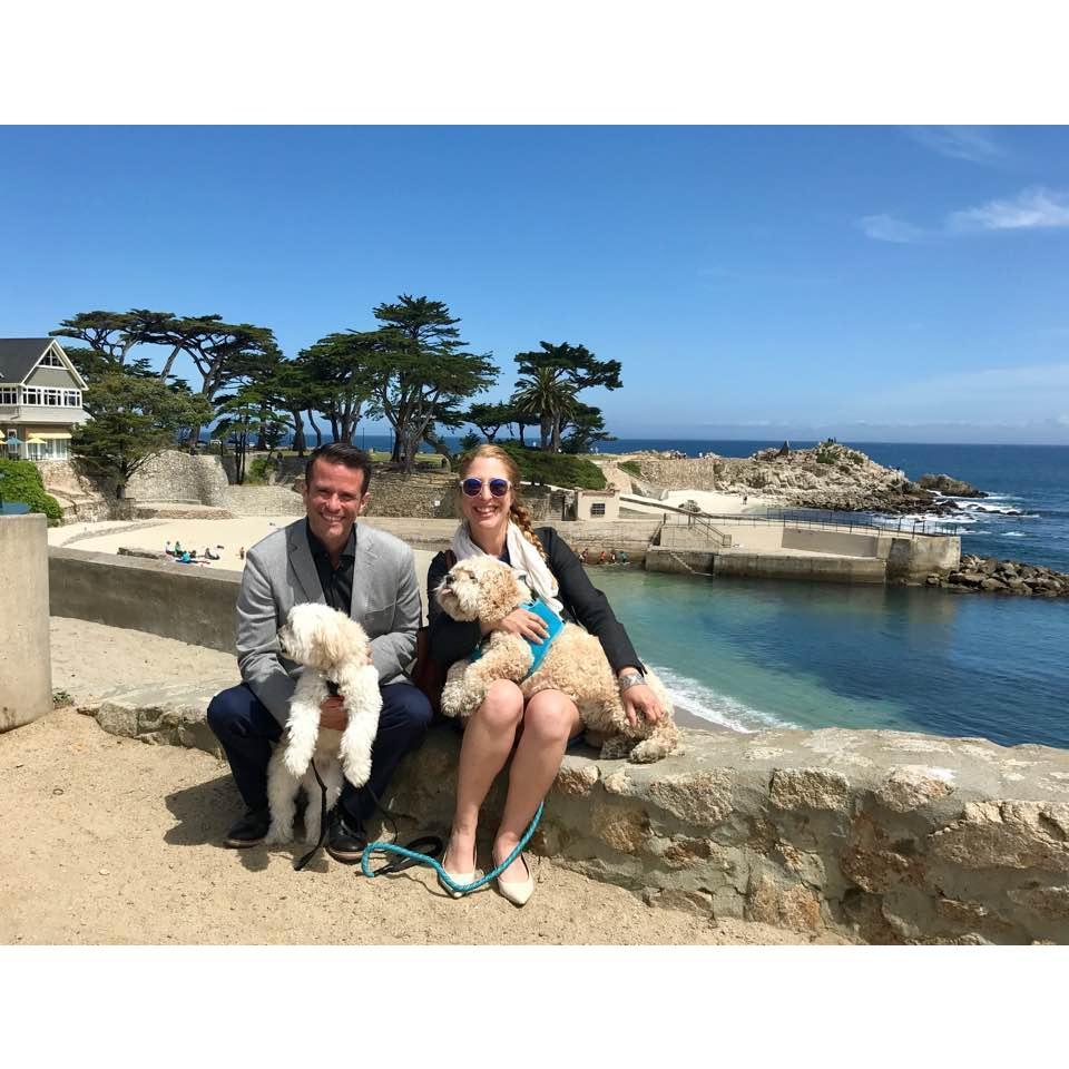 Work Day in Carmel with the Pups - 2018