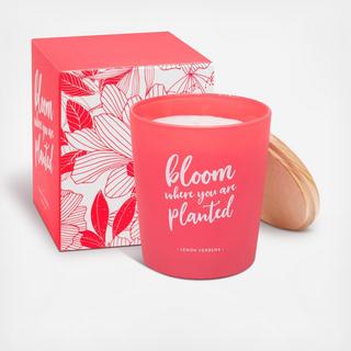 Bloom Where You Are Planted Lemon Verbena Candle