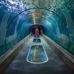 Oregon Coast Aquarium