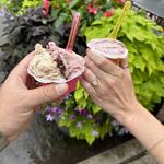 Nina Gelateria & Pastry Shop