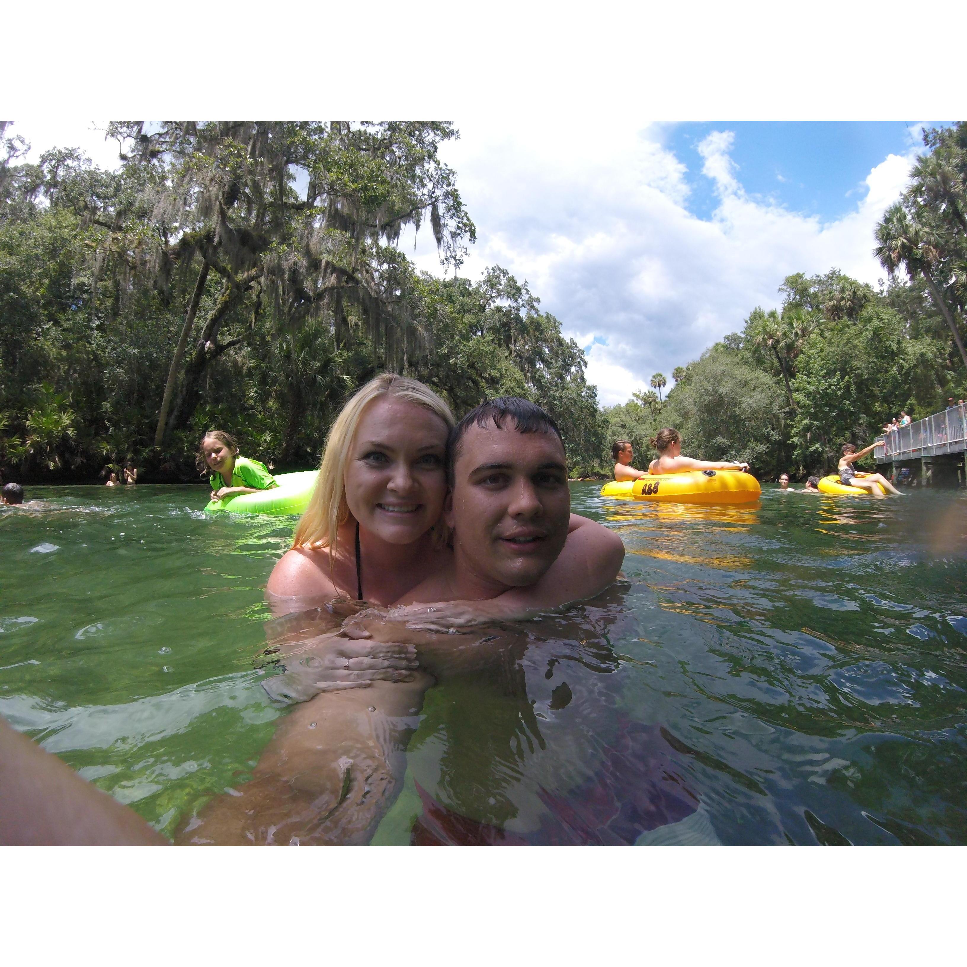 Manatee Preserve in Florida
