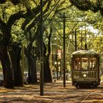 Garden District
