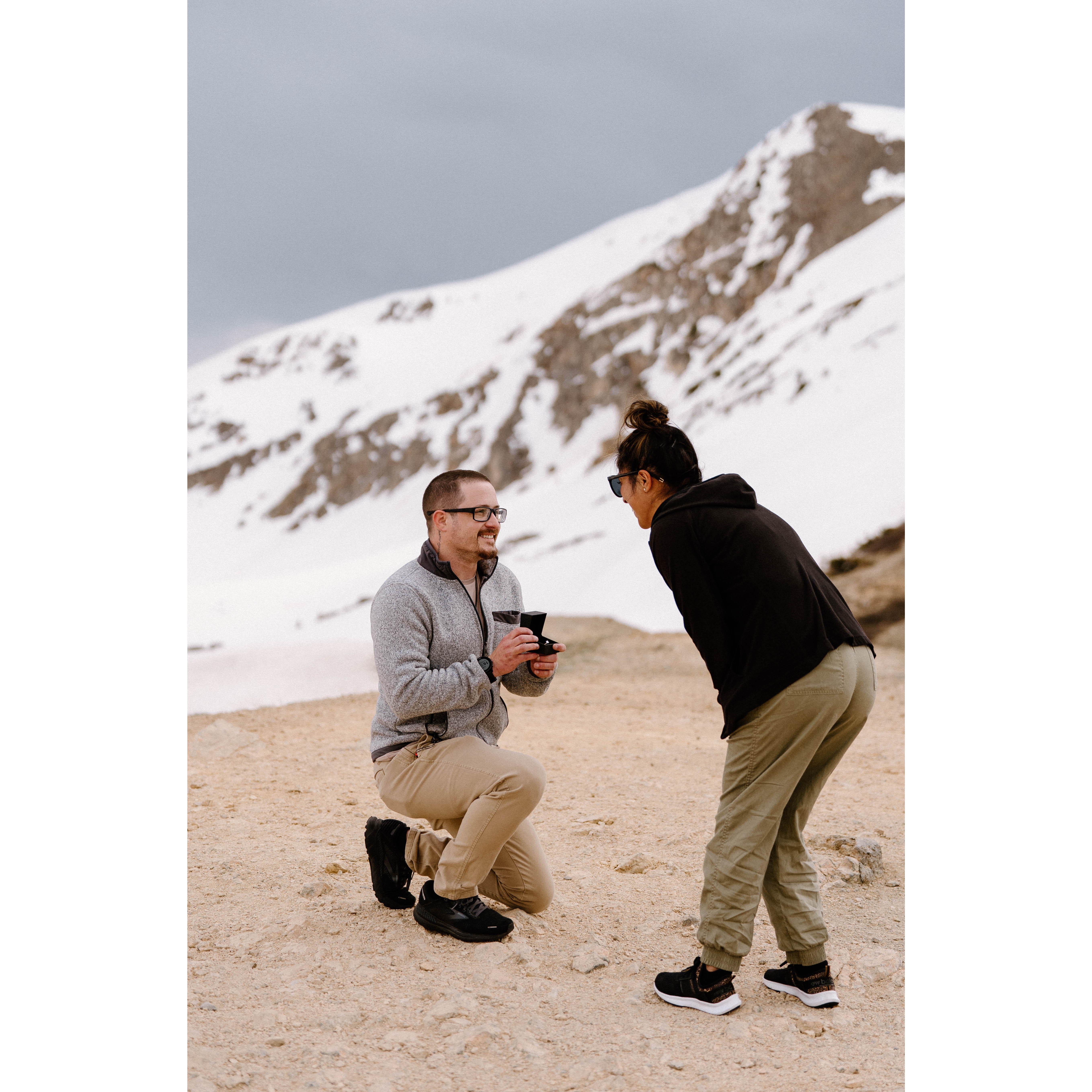 The proposal