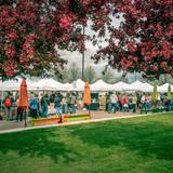 Farmers Markets