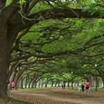 Hermann Park Conservancy