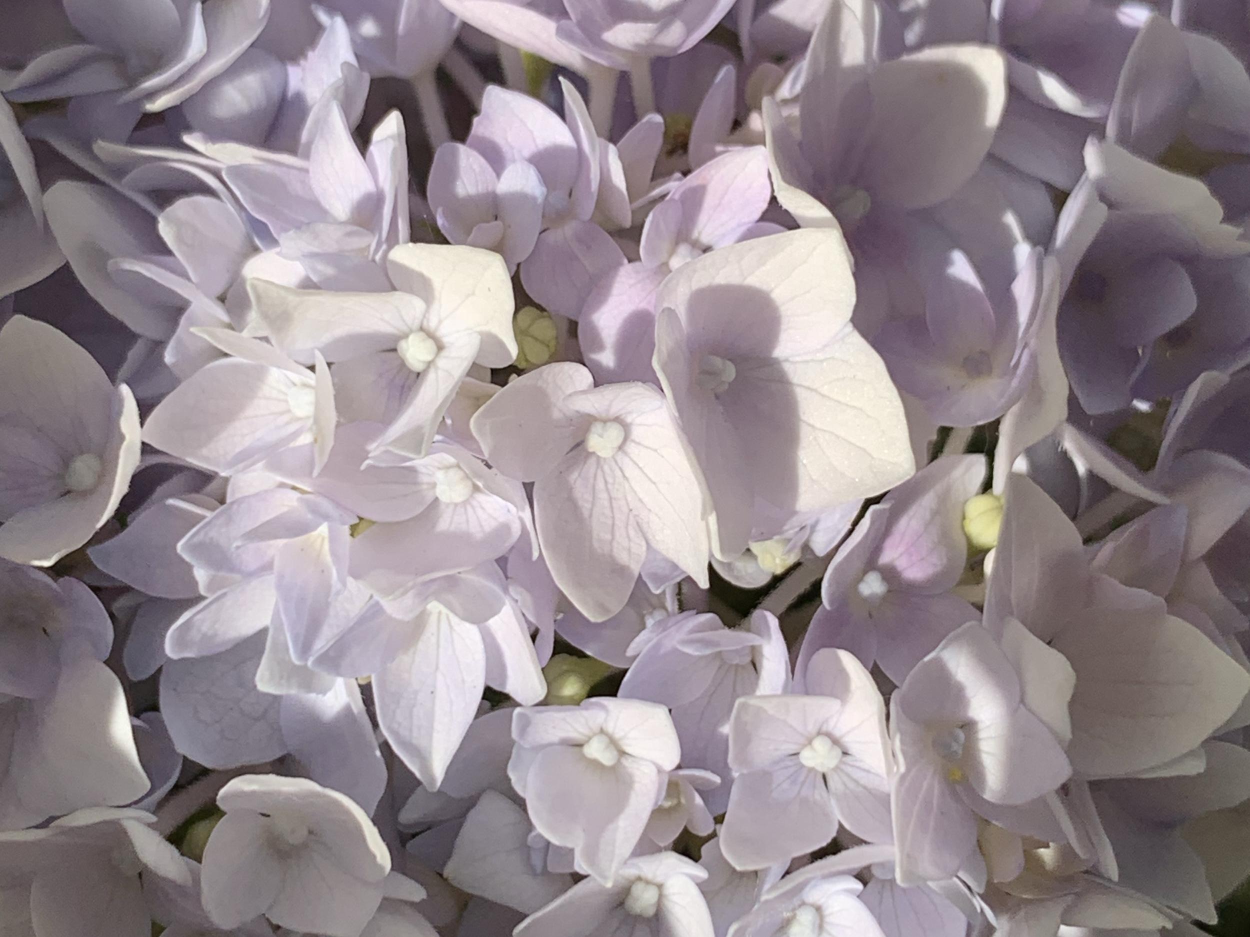 The Wedding Website of Julie Ness and Jamie Ness