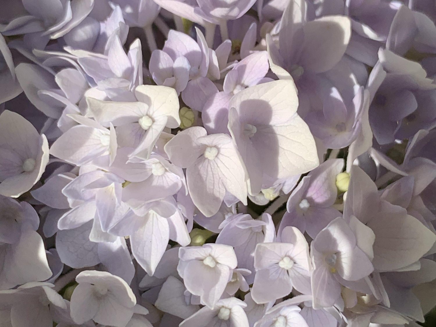 The Wedding Website of Julie Ness and Jamie Ness