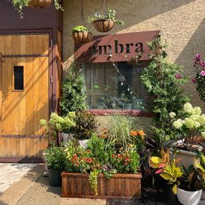 Gift Card to Ambra