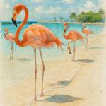 Flamingo Beach