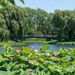 Chicago Botanic Garden