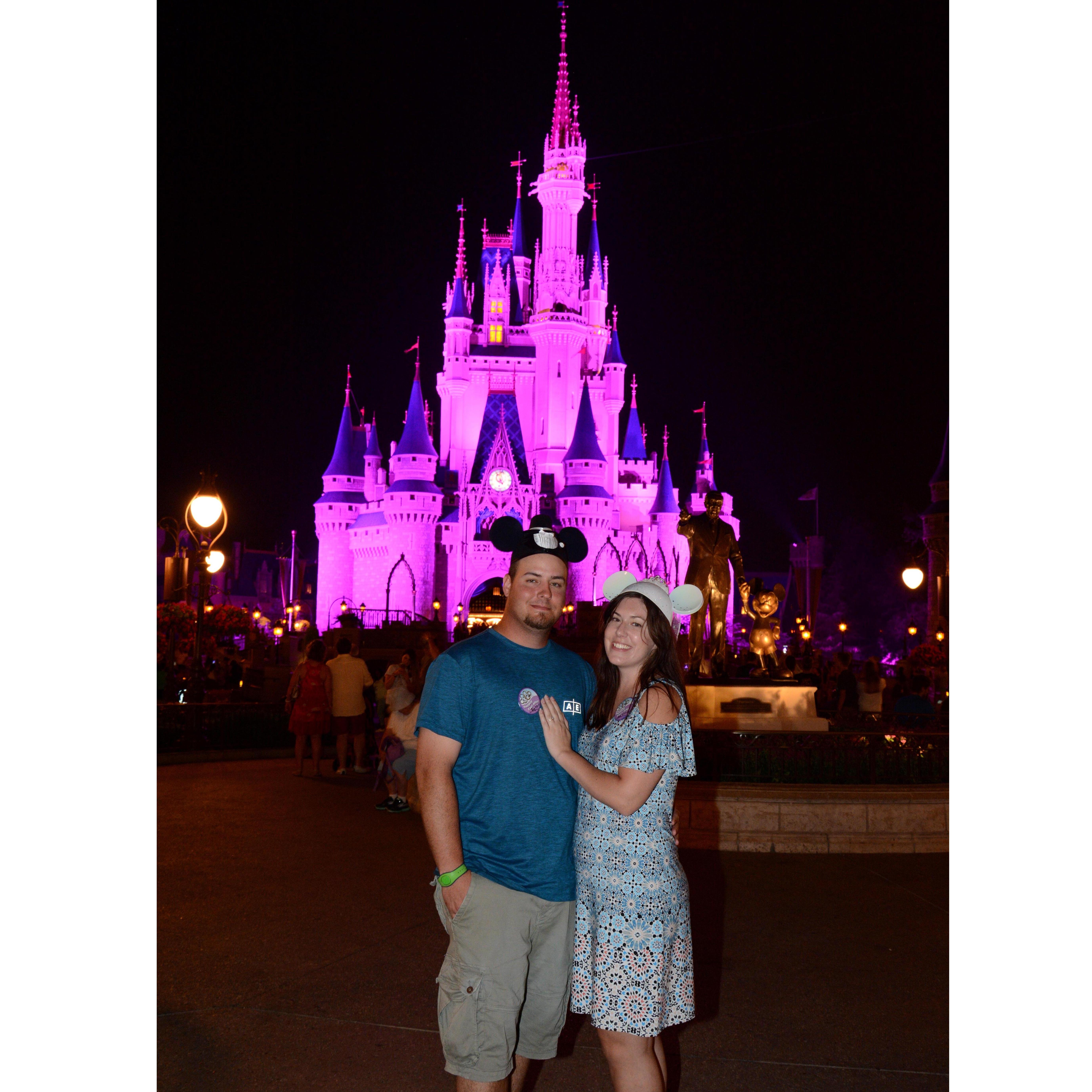 Disney World, the night of the proposal