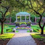 Lynch Park Rose Garden