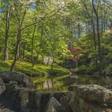 Garvan Woodland Gardens