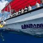 Buceo para expertos y principiantes