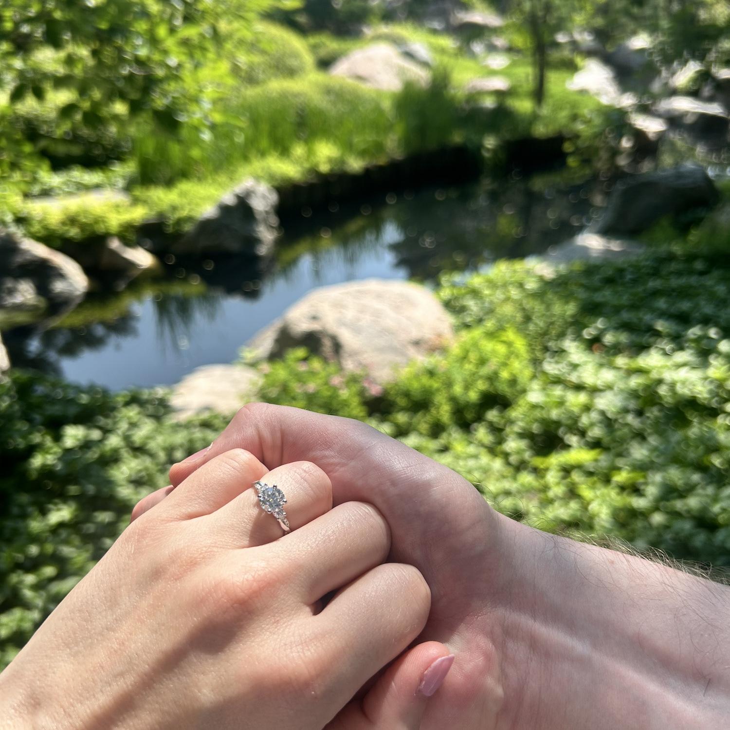 Engagement at Como Park in Zen Garden - July 12, 2024