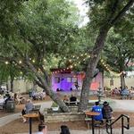 Gruene Grove