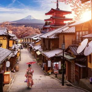 Japan Fund
