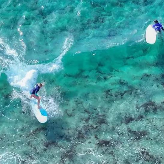 Surfing Lessons