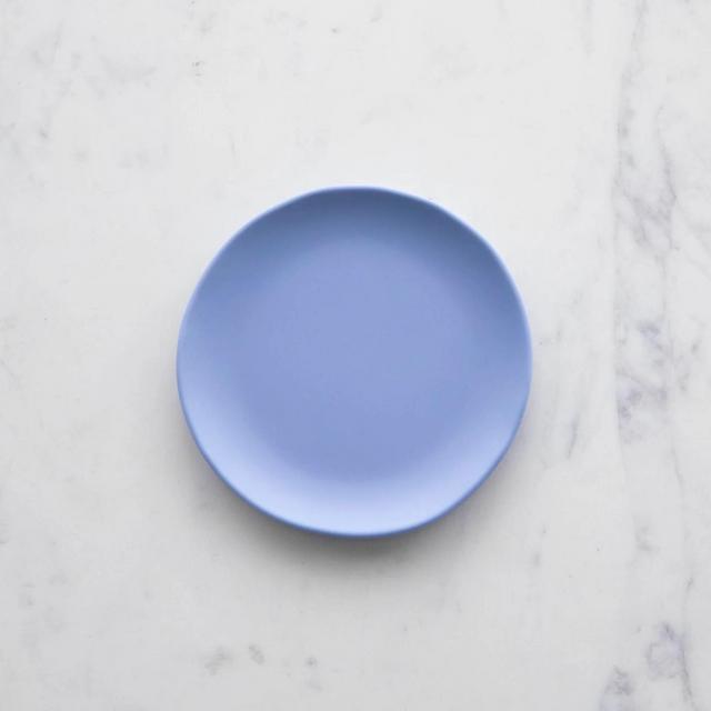 6" Rainbow Melamine Plate