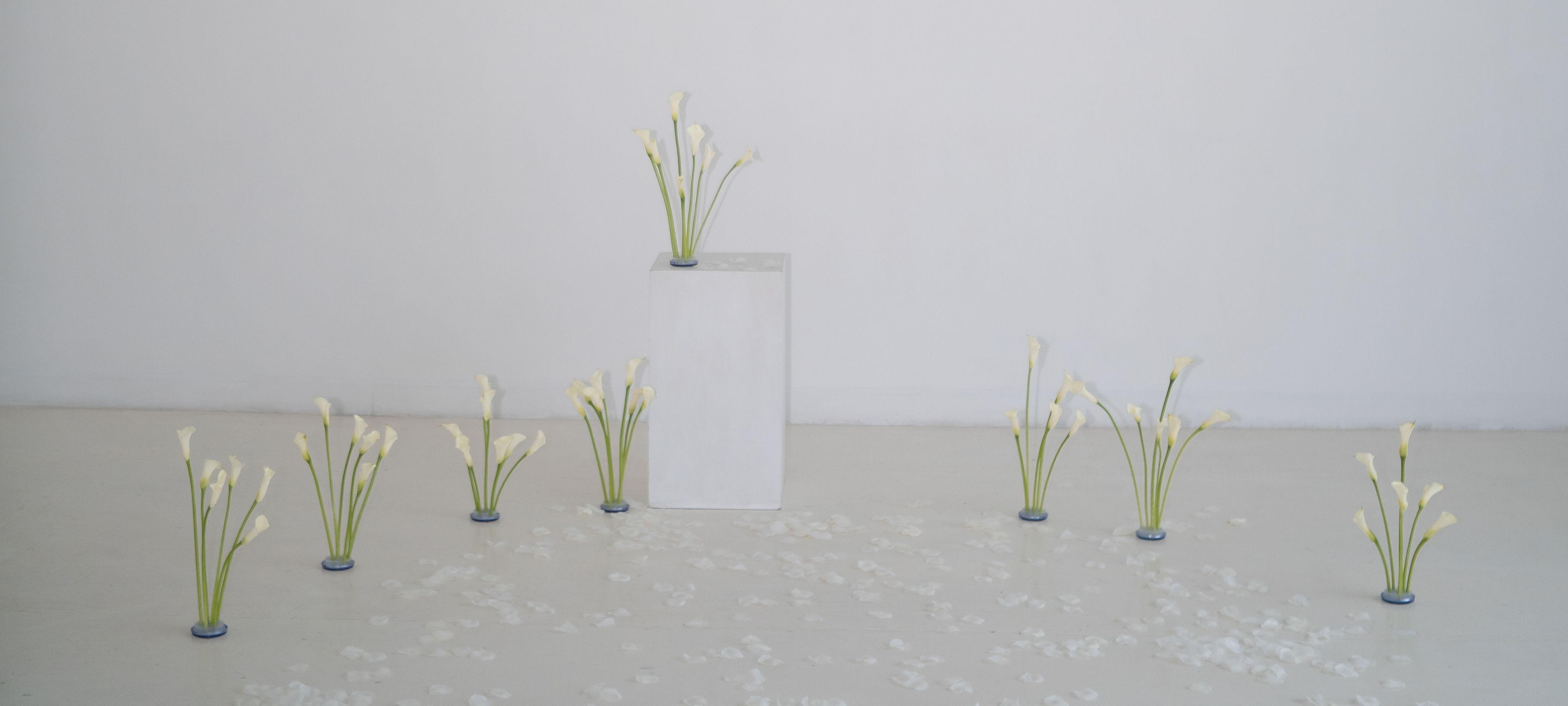 The Wedding Website of Sam Dos-Santos and Emma Wauldron