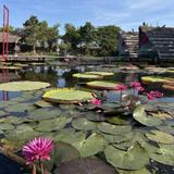 Thung Bua Daeng Na Bang Len Floating Market