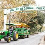 Irvine Park Railroad